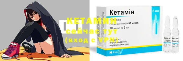 сатива Баксан