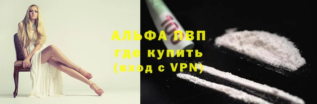 сатива Баксан
