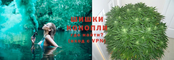 гидра Бердск