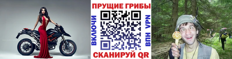 дарнет шоп  Белоярский  Галлюциногенные грибы ЛСД 